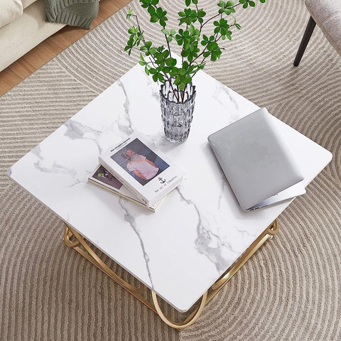 Marble Luxe Coffee Table